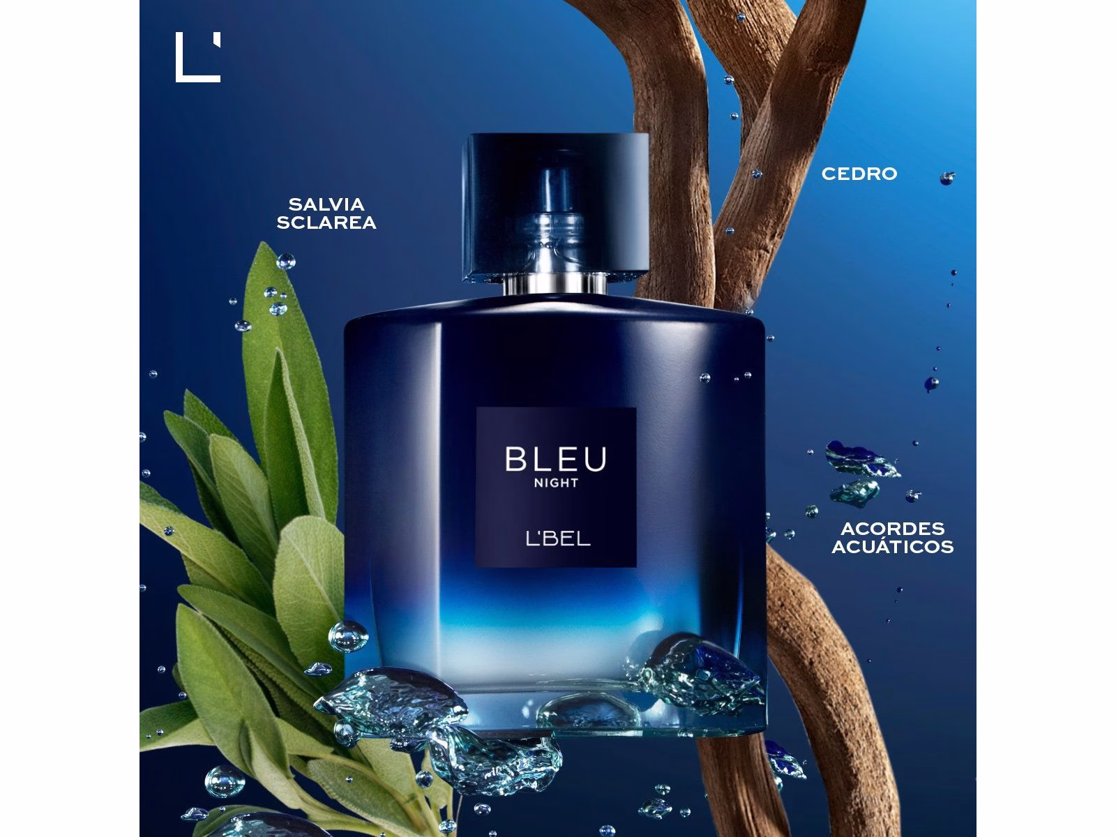 Imagen del producto Bleu Night Perfume para Hombre 100 ml. en Tahana Store